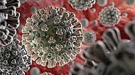 Timeline: CORONAVIRUS