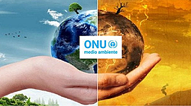 Timeline: Actividades de la ONU para la protección del Medio Ambiente y Desarrollo Sostenible