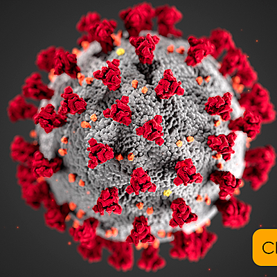 Timeline: Coronavirus
