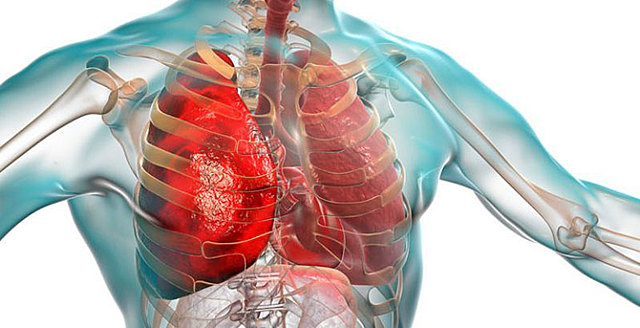 El coronavirus en el cuerpo