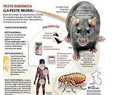cual fue la causa de la peste negra
