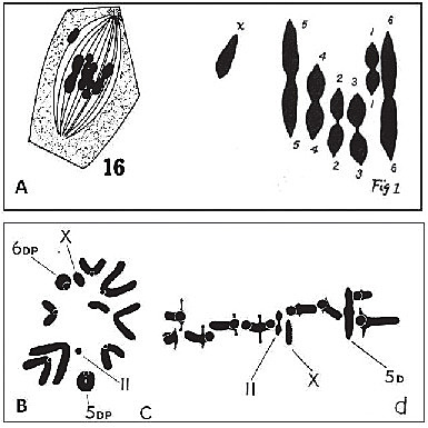MICHAEL JAMES DENHAM WHITE