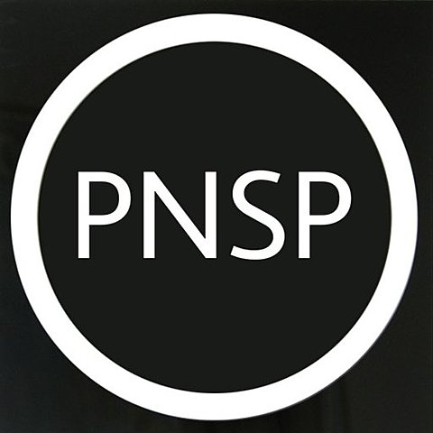 Partido Nacional de Salvación Pública (PNSP)