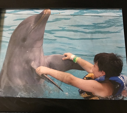 Not happy Dolphin DIscovery