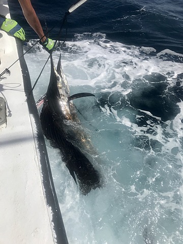 8 Feet and 100 Hundred pounds