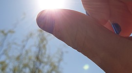 Timeline: Sarah's Life