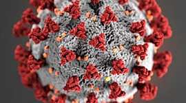 Timeline: Eix cronològic COVID-19