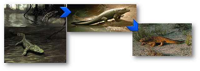 Seres vivos de piel seca y escamosa