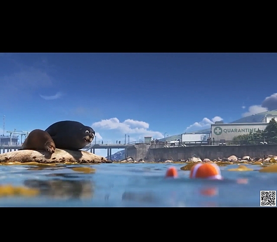 I PESCI PAGLIACCIO ALLA RICERCA DI DORY