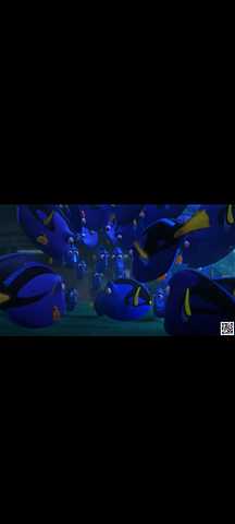 L' ACQUARIO GIUSTO MA SBAGLIATO