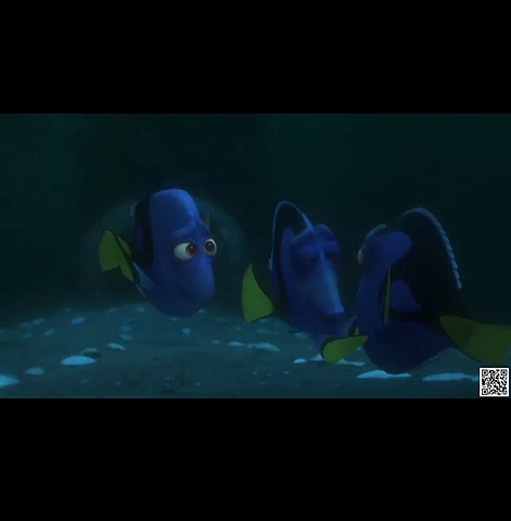 I GENITORI DI DORY