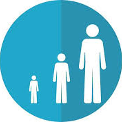 Timeline: Vida adulta