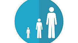 Timeline: Vida adulta