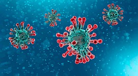 Timeline: Desarrollo Del Coronavirus