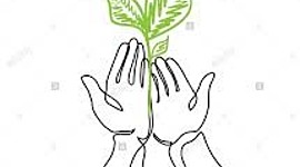 Timeline: mi linea de vida