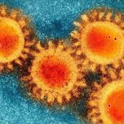 Timeline: Coronavirus en el cuerpo