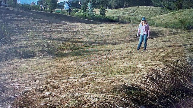 Compra del lote para la finca