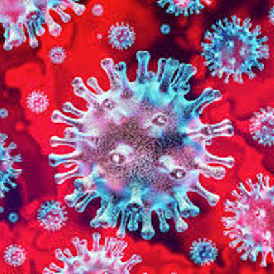 Timeline: Covid -19 sus efectos en el cuerpo