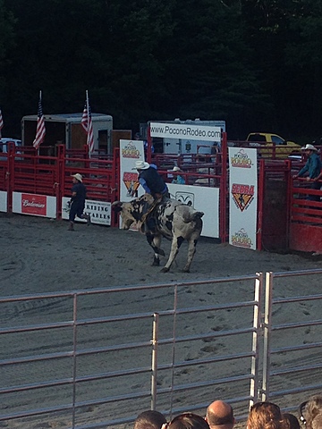Went to see a Rodeo at Pocono