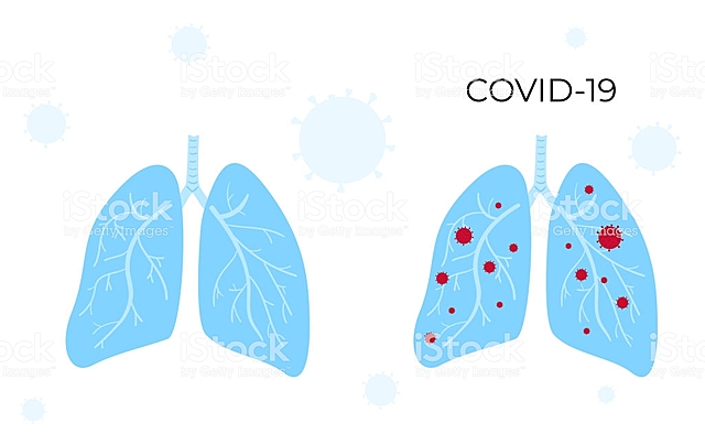 SEGUNDO O TERCER DIA