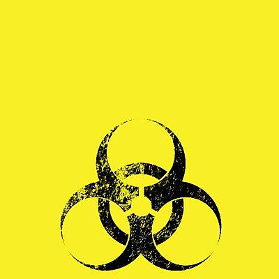 Timeline: Mis estudios