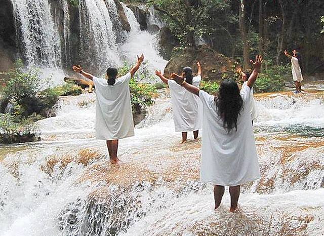 Creación de la RIBMA