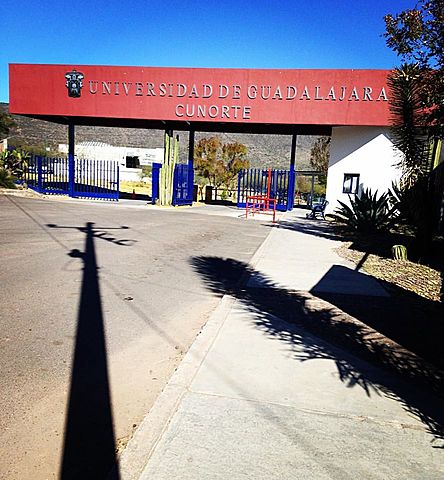 Licenciada en proceso