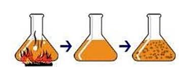 Needham: Apoyó teoría generación espontánea