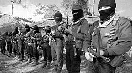 Timeline: Levantamiento del EZLN