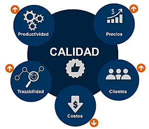 la exelencia de la calidad y sus puntos importantes en los negosios
