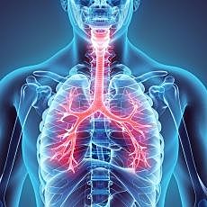 Dificultades respiratorias agudas