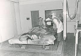 La Ley 3 de 1914 crea el Instituto de Veterinaria y Agricultura