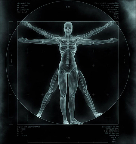 LOS RASGOS MÁS GENERALES DEL HUMANISMO DIGITAL.