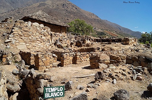 Kotosh Mito (Tardía)