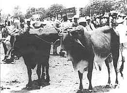 En 1950 se crea la división de extensión y se conserva la de investigación