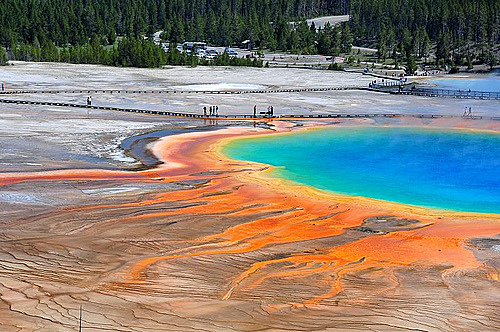 Zachary Adam: teoría de la playa radioactiva