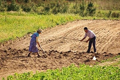 En 1958 se creó dentro del Ministerio la Dirección Técnica