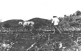 La Ley 47 de 1985 creo el Fondo de Desarrollo Rural Integrado