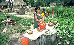 El decreto 77 de 1987 asignó al Fondo DRI