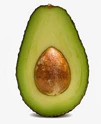 First Appearance of  Avocados