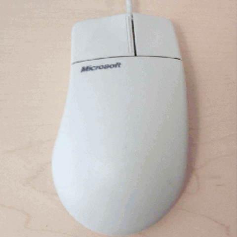 The first mouse