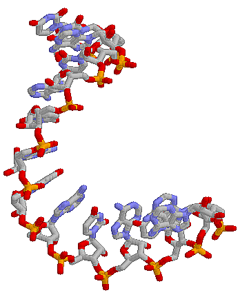 Thomas Cech - Sidney Altman: Mundo de ARN