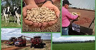 2017 La condición de beneficiario del Fondo de Tierras