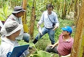 2019 Asistencia Técnica en el marco de Proyectos Integrales de Desarrollo Agropecuario y Rural