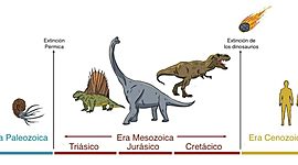 Timeline: ERAS GEOLOGICAS