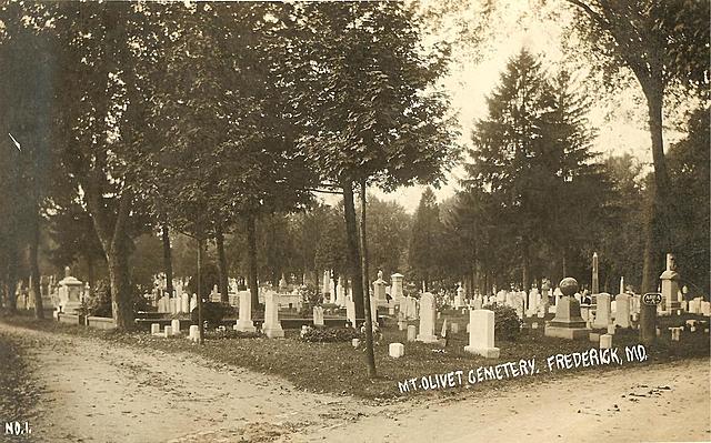 Everything happening because of the flu