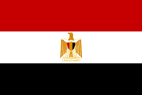 First Case in Egypt