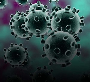 se identifica el covid-19