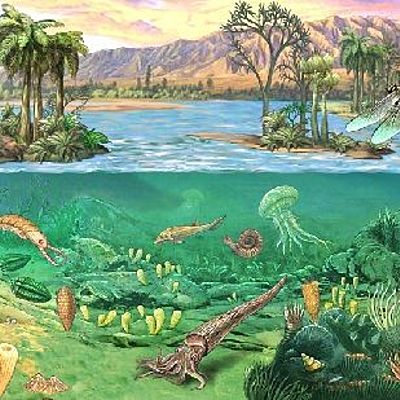 Timeline: El tiempo geológico- Era paleozoica 290-490