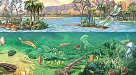 Timeline: El tiempo geológico- Era paleozoica 290-490